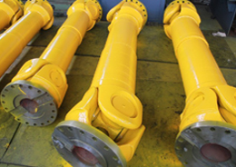 Cardan Shaft